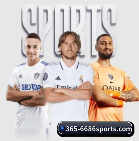 365-6686sports.com APP 界面