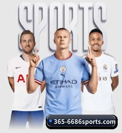 365-6686sports.com的方向 - 长期内容价值积累