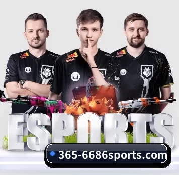 365-6686sports.com APP